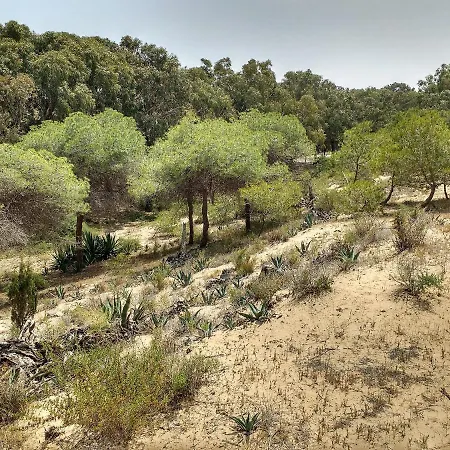 A Small Paradise El Moncayo